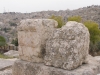Amman2014-011