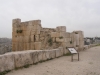 Amman2014-013