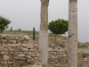 Amman2014-019