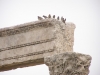 Amman2014-020