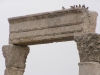 Amman2014-021