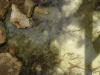 BaptismNeboMadaba2014-030