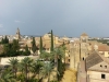 Cordoba-104