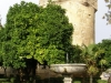 Cordoba-118