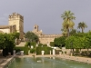 Cordoba-120