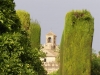 Cordoba-123