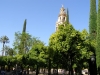 Cordoba-142