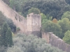 Florence-181