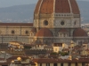 Florence-208