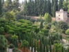 Granada-070