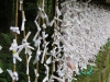 Hakone-068