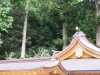 Hakone-074