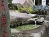 Hakone-078