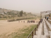 Jerash2014-005
