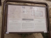 Jerash2014-008