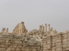 Jerash2014-011