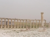 Jerash2014-013