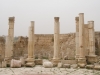 Jerash2014-022