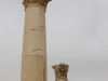 Jerash2014-023