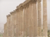 Jerash2014-030