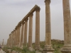 Jerash2014-031