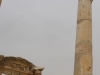 Jerash2014-033
