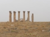 Jerash2014-036