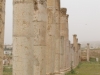 Jerash2014-041