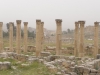 Jerash2014-042