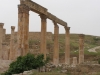 Jerash2014-061