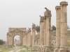 Jerash2014-065