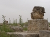 Jerash2014-074