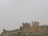 Jerash2014-079