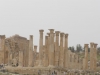 Jerash2014-080