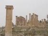 Jerash2014-081
