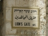 Jerusalem-086