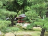 Kyoto-074