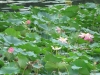 Kyoto-085
