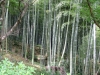 Kyoto-105