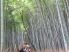 Kyoto-108