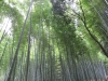 Kyoto-109