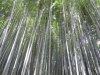 Kyoto-110