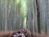 Kyoto-112