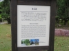Kyoto-147