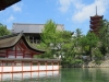 Miyajima-Hiroshima-033