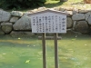 Miyajima-Hiroshima-037