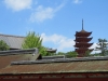 Miyajima-Hiroshima-038