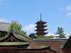Miyajima-Hiroshima-039