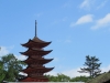 Miyajima-Hiroshima-041