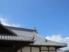 Miyajima-Hiroshima-061